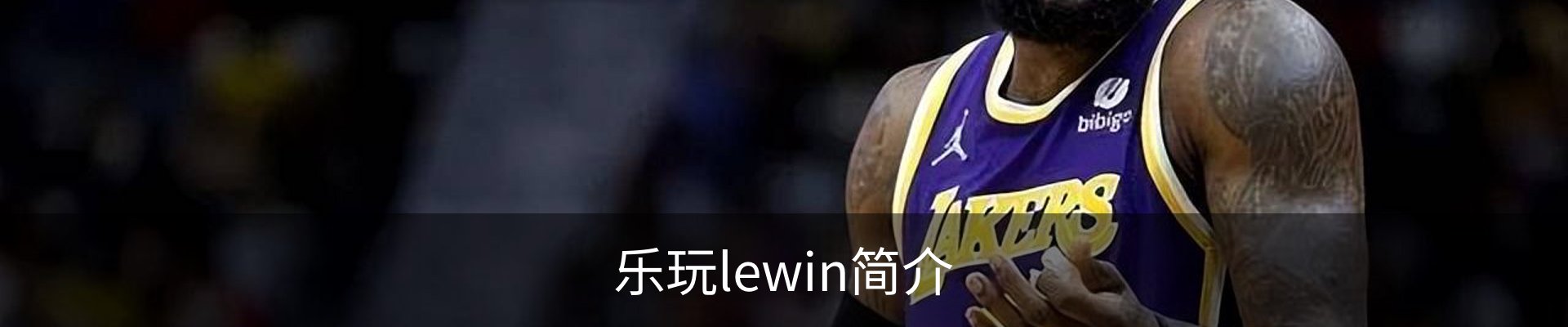 乐玩lewin简介